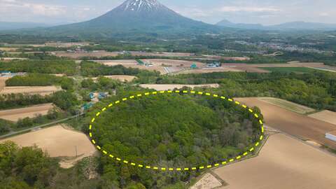 6 Soga Acreage