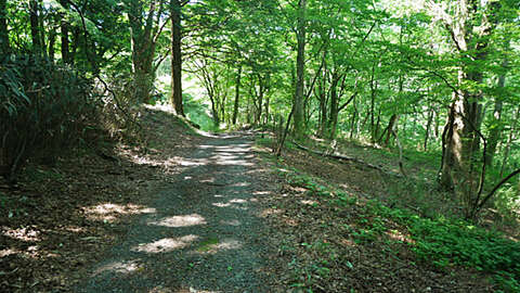 6646 sqm Forest Land with Lodging Potential in Sengokuhara Hakone10