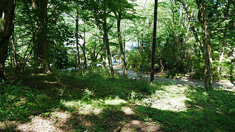 6646 sqm Forest Land with Lodging Potential in Sengokuhara Hakone13