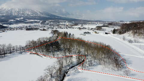 DJI 0046