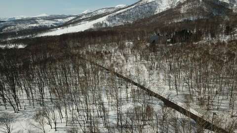 Annupuri Gardens Niseko Realty 4 1024x768