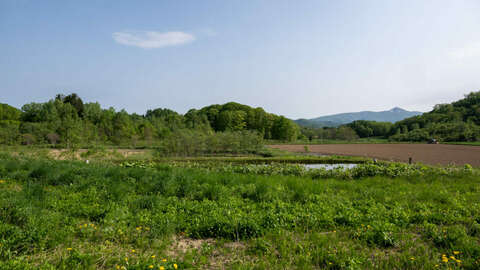 Arishima Land Farm Living 5