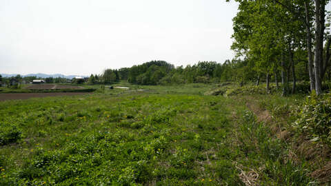 Arishima Land Farm Living 4