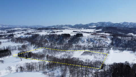 DJI 0472