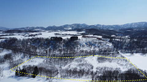 DJI 0473