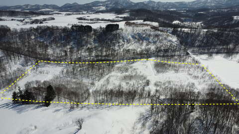 DJI 0476