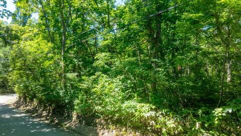 8 Misorano Grove Lot