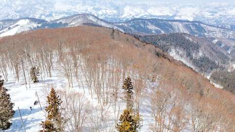 8 Nozawa Slopeside land