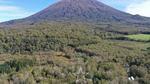 DJI 0404