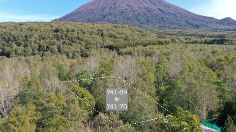 DJI 0410