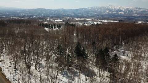 Annupuri Soga Large Land Niseko Realty 1