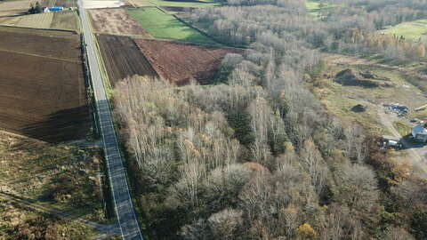 Niseko Realty Rusutsu Land 4