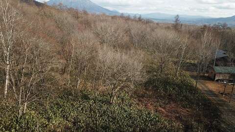 Niseko Realty Annupuri Village Niseko Land 3