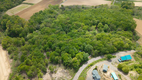 9 Soga Acreage