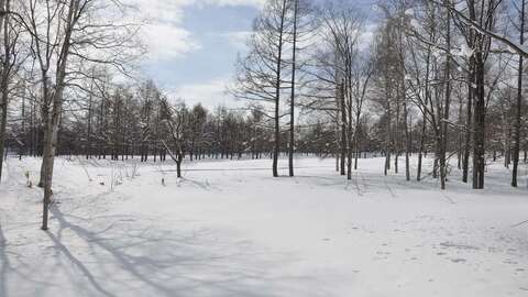 St Moritz Golf2