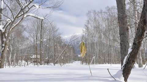 St Moritz Golf1