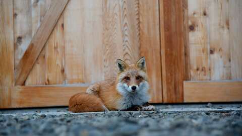Niseko Soga Barn House9
