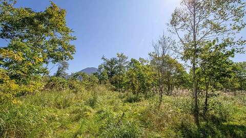 Large Kabayama Land4 jpg
