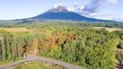 Large Kabayama Land2 jpg