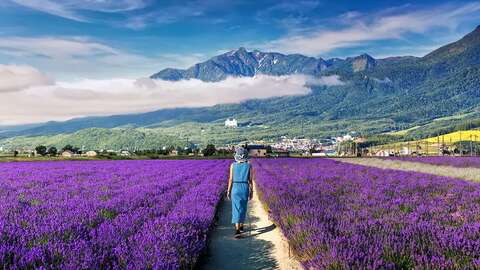 Furano Summer