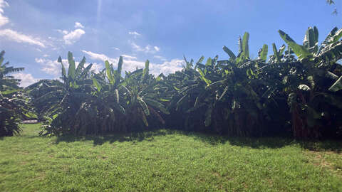 994 sqm Residential Land Near Fusaki Beach Ishigaki Island7