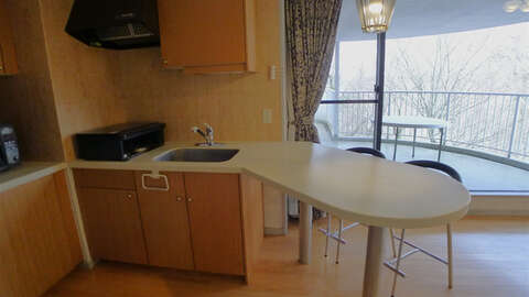 Adler Horst Lake Yamanaka Spacious 2 BR Resort Condo7