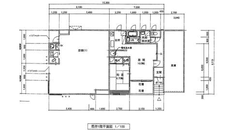 Amemiya 1 F