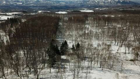 Annupuri Soga Large Land Niseko Realty 3 1024x768