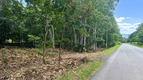 Annupuri omri lot 3