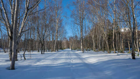 Annupuri Soga Meadows Land1