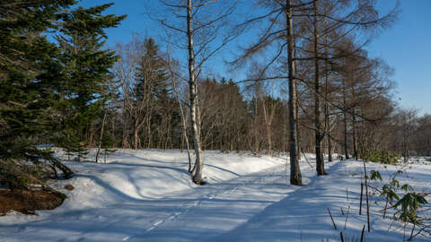 Annupuri Soga Meadows Land2