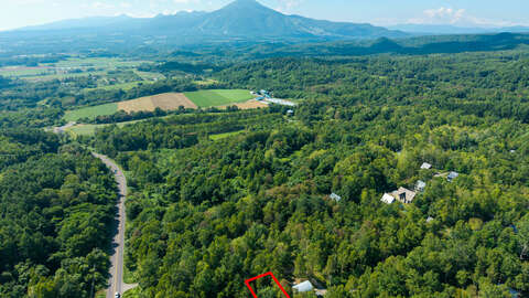 Beautiful Kondo Forest Land 14 Line