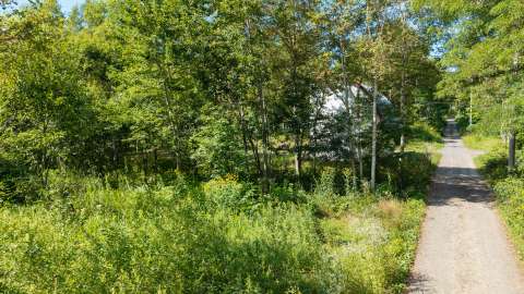 Beautiful Kondo Forest Land 3