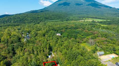 Beautiful Kondo Forest Land 6 Line