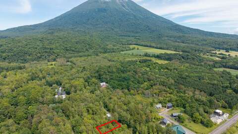 Beautiful Kondo Forest Land 15 Line