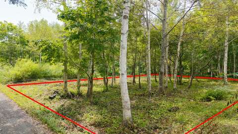 Beautiful Kondo Forest Land 5 Line