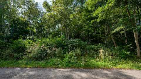 Central Kondo 748 Sqm Land 2