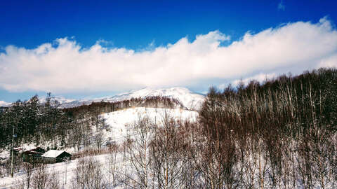 Cream Puff 9 meters Ski Hill View mtime20200131164503focalnone
