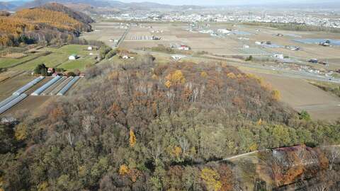 DJI 0401