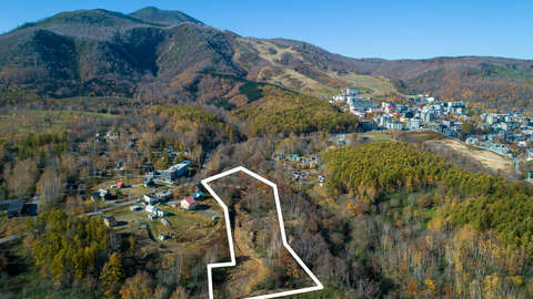 DRIFT site image white boundary
