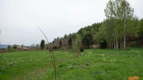 DSCF2188