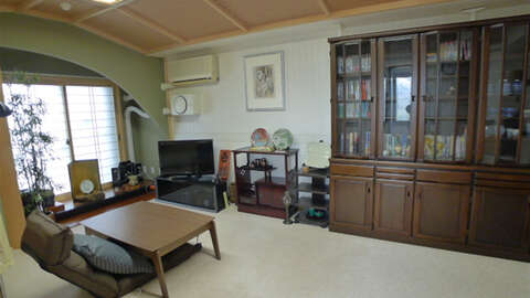 Dia Palace Fuji Oshino Building B Mt Fuji View Resort Condominium17