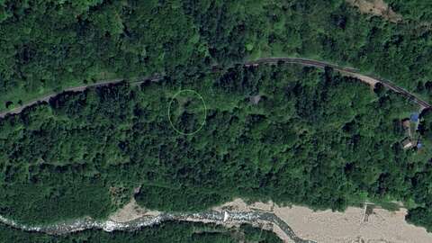 Forest Land bird view location