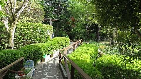 Fuji Ocean View9