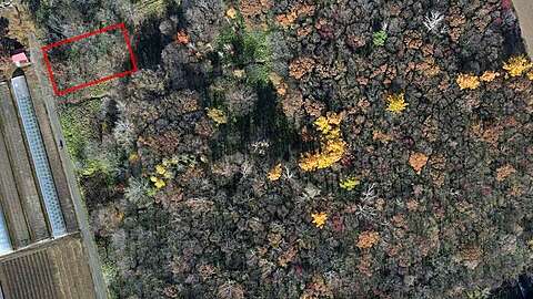 Furano Forest Land1