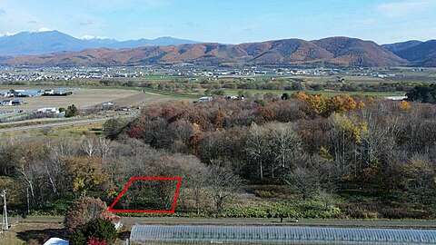 Furano Forest Land3