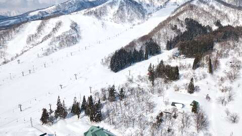 Hakuba Norikura Ski in Sk out Land 6