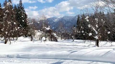 Hakuba Norikura Ski in Sk out Land