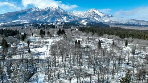 Hakuba Real Estate 450 Tsubo Land Myoko UCHI