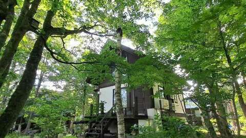 Hakuba Real Estate Appi Chalet 2